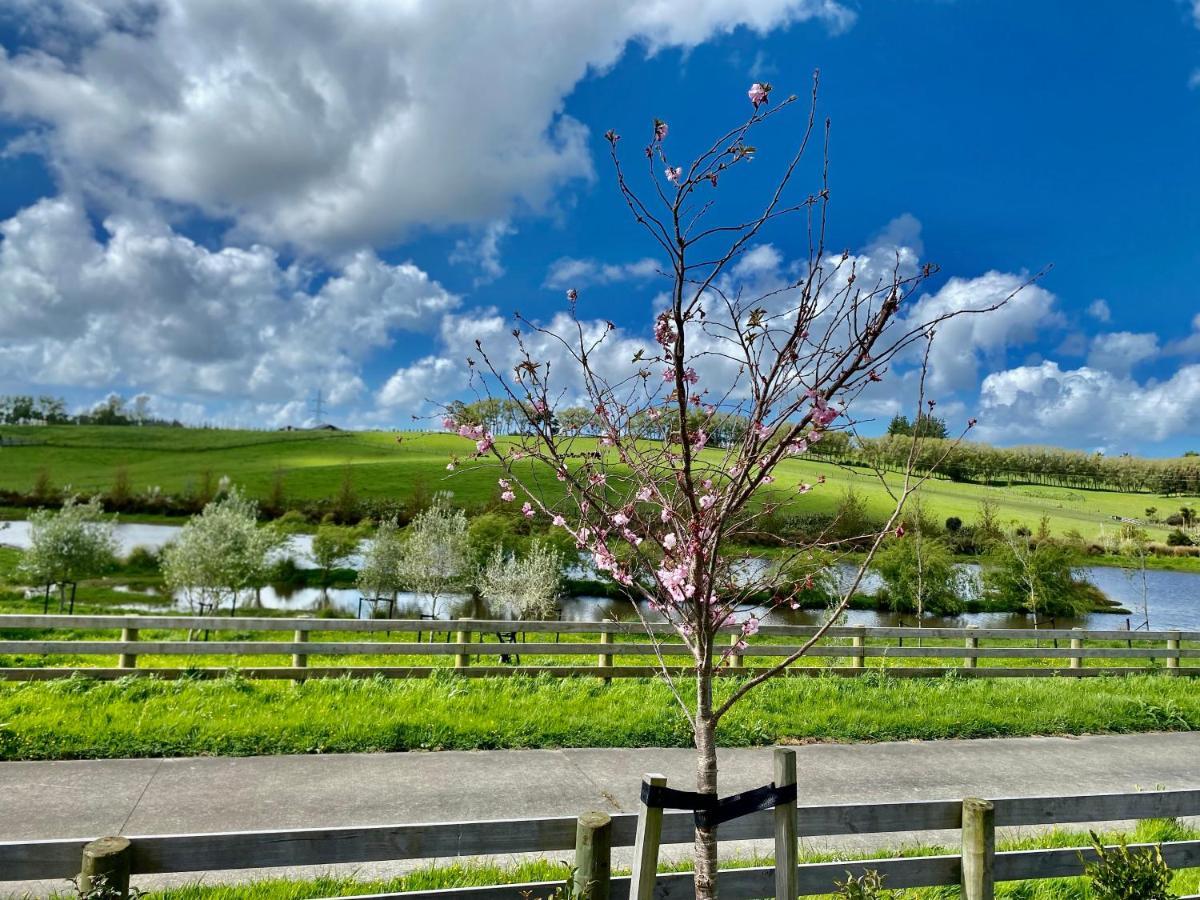 Lifestyle Guesthouse Dairy Flat Dış mekan fotoğraf
